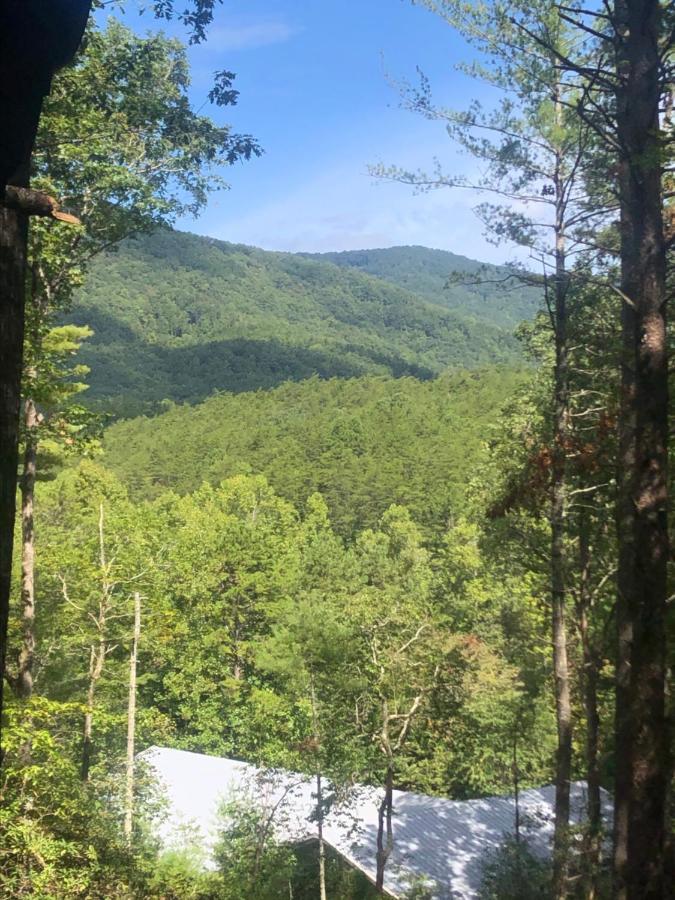 Hébergement de vacances Mountain-top Get-away With Hot Tub And A View Sautee Nacoochee